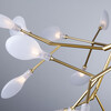 Миниатюра фото подвесной светильник inodesign moooi heracleum 41.720 | 220svet.ru